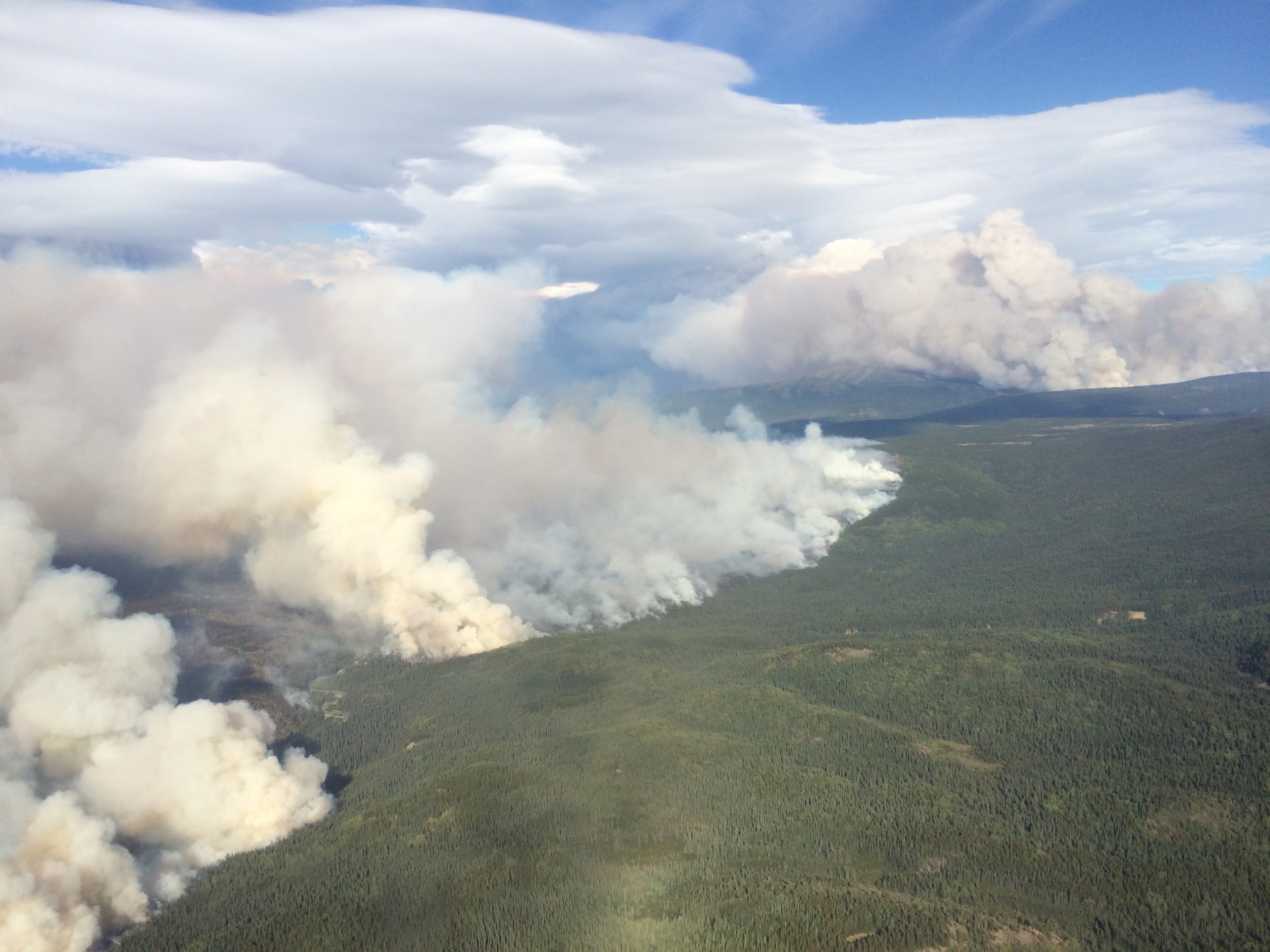 822201852634_img_0291